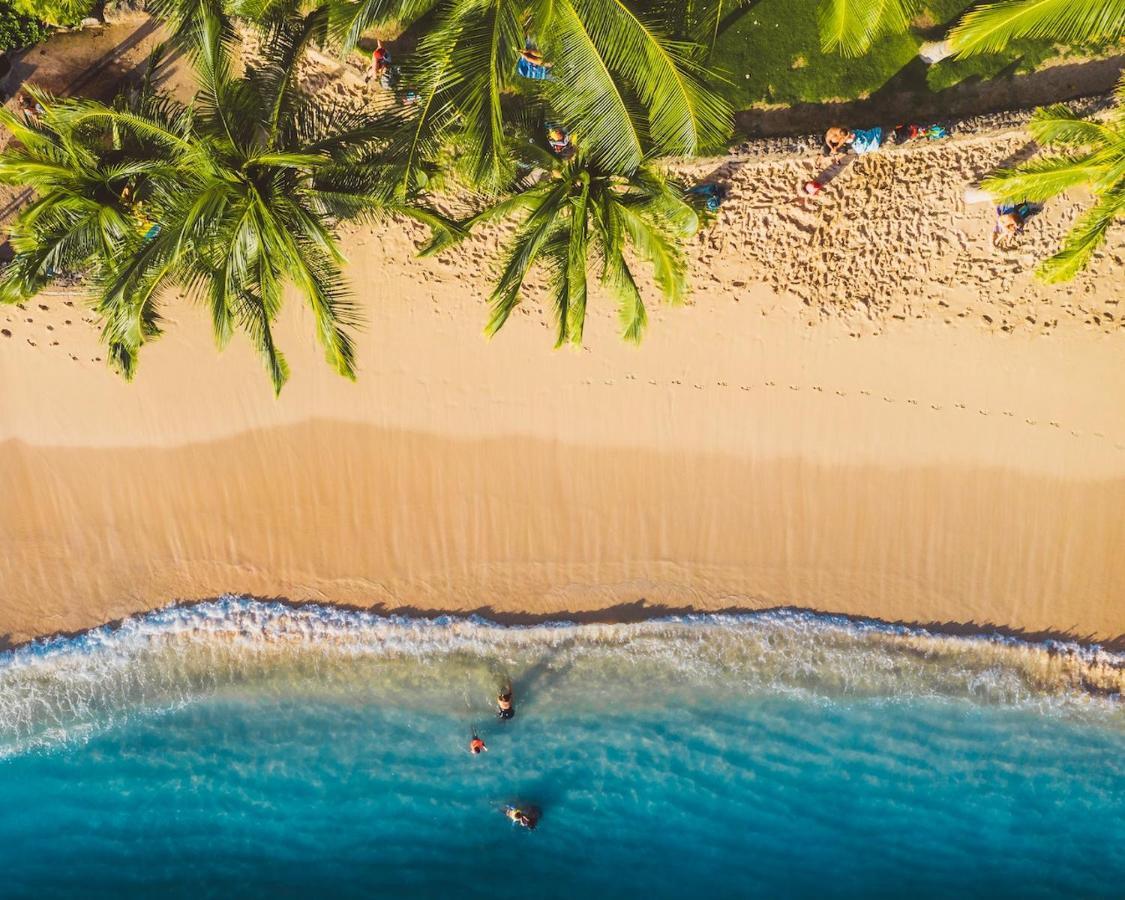 Imagine972 Martinique Bateau Hotel A Quai Le Marin 3 Cabines 3 Salles De Bains 6 Pers Maxi Екстер'єр фото