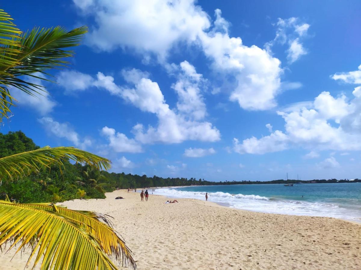 Imagine972 Martinique Bateau Hotel A Quai Le Marin 3 Cabines 3 Salles De Bains 6 Pers Maxi Екстер'єр фото